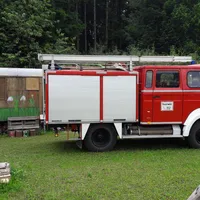 wespen_naturgruppe_2017.jpg