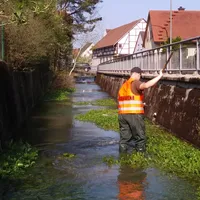 umwelttag2018_lauterach.jpeg