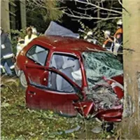 vubuschhof2012.jpg