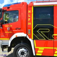 lf1231.jpg