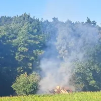 hagenhausen_4.jpeg