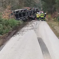 buschhof_5.jpeg