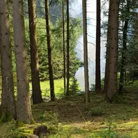 rauchentwicklung_finsterhaid2.jpeg