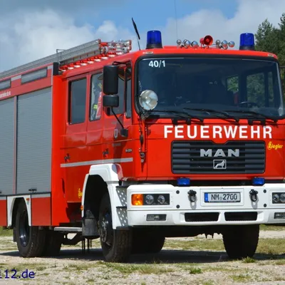 lf112.jpg
