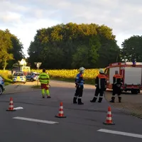 fr_traunfeld20081905.jpg