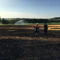 freiberg1.jpeg