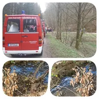 collage_170401.jpg
