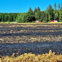 Brand_Freifläche_Kastl.jpg