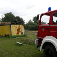 wespen_naturgruppe_2017_2.jpg