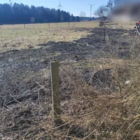 freiberg4.jpg