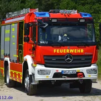 lf123.jpg