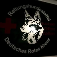 pessonensuche_4.jpg