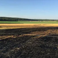 freiberg4.jpeg