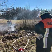 freiberg1.jpg