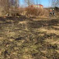freiberg8.jpg