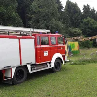 wespen_naturgruppe_2017_1.jpg