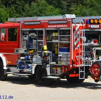 lf1118.jpg