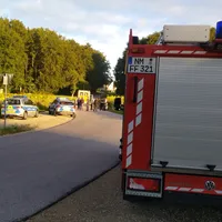 fr_traunfeld20081920.jpg