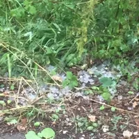 hagel_engelsberg_180802.jpeg